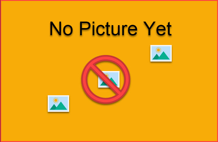 No Picture Yet